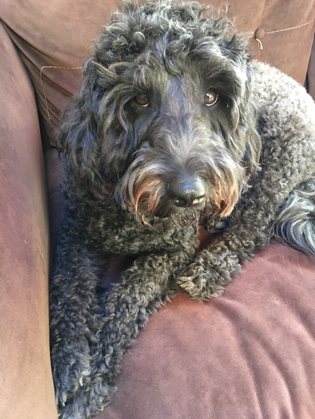 Here comes the&nbsp;King